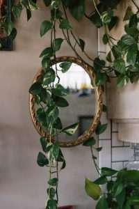 a brass mirror with green plants besides