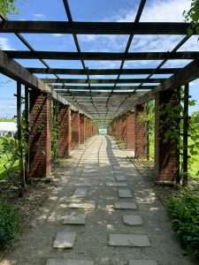 photo of a walkway in a garden
