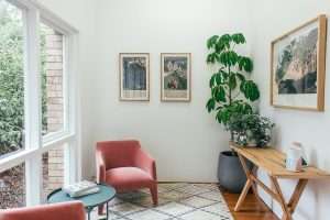 large statement plant in a room with big windows