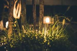 lighting for a garden party